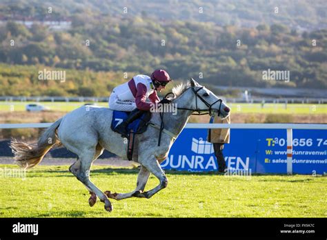 Champion Hurdle 2018.